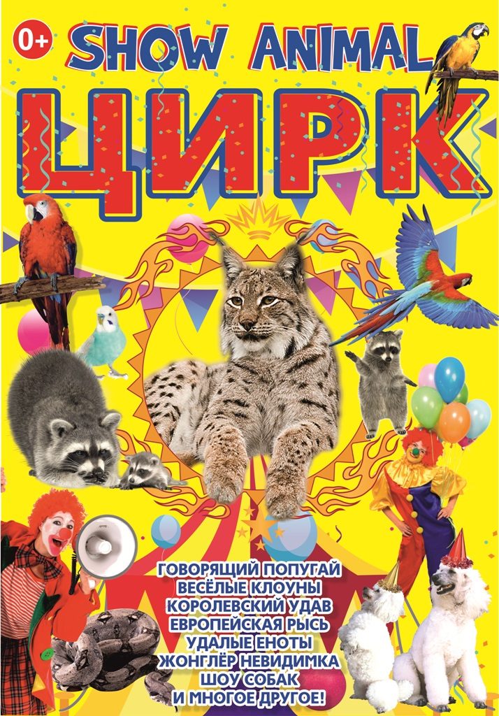 Афиша цирк в кривых
